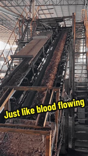 #CapCut #mdfmanufacturer #furniturematerials #woodworking #china🇨🇳🇨🇳🇨🇳 These wood chips are looks like our Optimus Prime's blood We are MDF Board Manufacturer in china,welcome to our factory👏👏👏 Main products: • Furniture Grade MDF • Packing Grade MDF Thickness:2.5mm-25mm Density:650-820kg/m³ Factory direct price😊😊😊 Factory is close to the port Destination:Middle east,Asia Looking for long-term partners and distributors worldwide.🤝🏻🤝🏻🤝🏻 WhatsApp: 86 13681705115 Send message for 