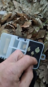 145K views · 4.2K reactions | Doua zile cu noroc ,zona buna dar și detectorul a făcut diferența XP Deus 2 Am descoperit mai multe obiecte dar în acest video le vedeți pe cele mai importante și frumoase  | RODETECTORS.COM | Facebook