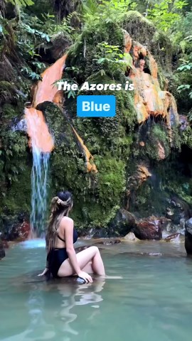 The colors of the Azores: lush green landscapes