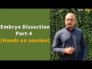 Embryo Dissection Part-4 (Hands on Session) | Dr. Sourav Singh Deo