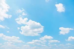 Oakville's weather forecast for November 10: Rain expected in the afternoon - The Weather Network