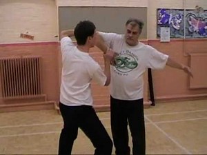 Jade Dragon Kung Fu staff training intro.