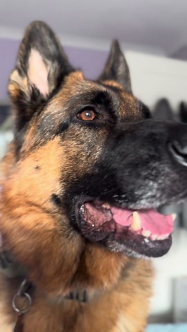 Top 3 Examples of Pure Perfection