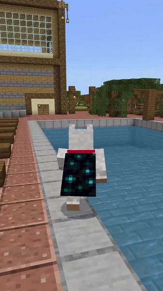 Custom Capes For Minecraft Bedrock / MCPE #minecraftbedrock #mcpe #fyp...