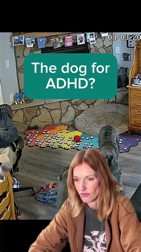 How Reciprocity in Learning Looks — Teacher & Dog Keep Learners on Task