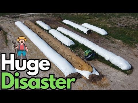 Barley Silage Ag Bag Explosion - A Lesson in Feed Storage