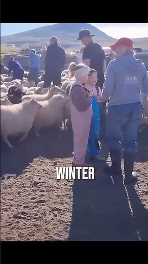 Millions of Sheep Return Home