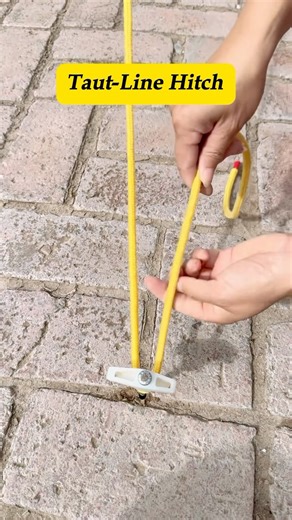 The Perfect Knot for Tent Guy Lines: Master the Taut-Line Hitch #campinglife #outdoors #tutorial #bushcraft #ropeknot #CampingTips #kontes #tips #CampingEssentials #knots #outdoorskill #outdoortips #outdoor #konts #tent #kontenkreator #ropeskills #HowToTieFishingKnots | Cybertop Sydney