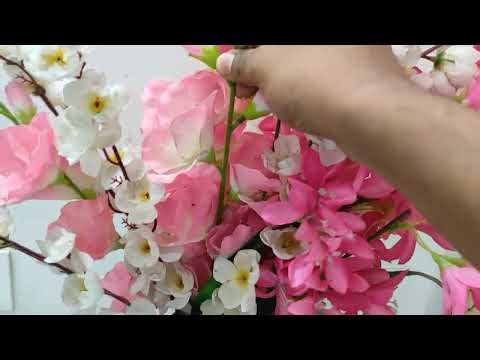 কোলেনকাইমা কলা I collenchyma & sclerenchyma I Class 9 Science