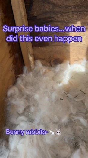 #massfollowing #fyp #tiktokcreator #over40tiktok #rosharontx #foryou #risingcreator #roadto10k #fyp #ffamom #ffaproudmom💜💛