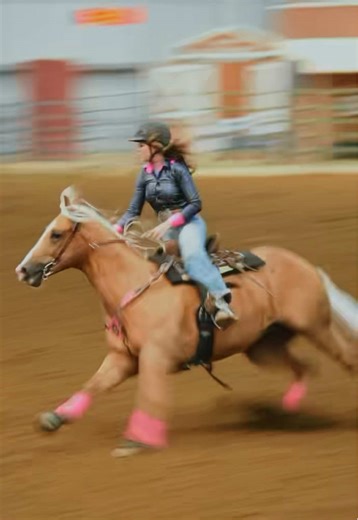Barrel Racing Techniques for Better Performance