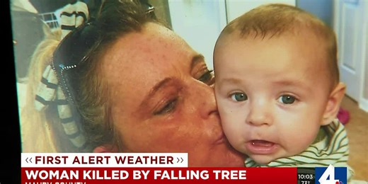 Woman killed by falling tree