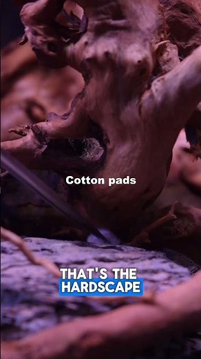 Step by step 400L Angelfish aquarium!