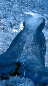 Amazing octopus changing color and swims away ⚓ | Scuba Diving Holidays