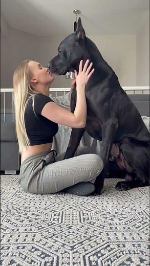 big dog and girl love relationship