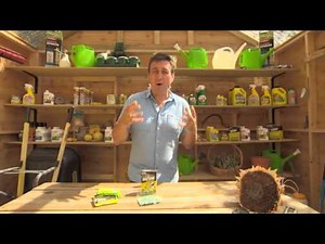 The Garden Gurus - Ratsak Fast Action Throw Packs and Disposable Bait Stations