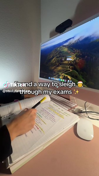 sleigh 🎅 through my exams and still make it to Christmas break. #gradschoollife #studyhack #study #studentproblems #studytok