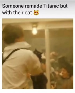 Brilliant! 😸 🎥OwlKitty | Witches Gallery