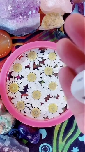 Jamie Slack on TikTok