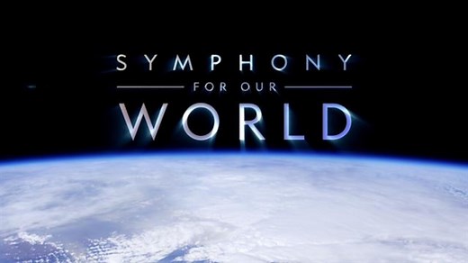 A Brief History of the Violin