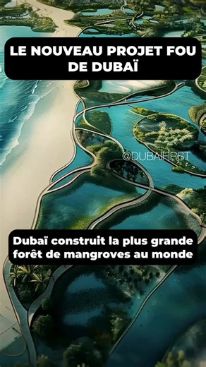 Dubaï va mettre fin au réchauffement climatique grâce à ce nouveau projet. En quoi ça consiste ? Les détails dans cette vidéo. Partager ton avis argumenté sur ce projet dans les commentaires. Si tu penses que c’est un projet débile, mentionne le aussi. Commente ‘Dubaï’ et je t’envoie mon guide pratique et détaillé pour réussir à Dubaï. #dubai #oman #arabiesaoudite #dubaï #dubaiinstagram #dubaievents #expatriation #expats #voyage #qatar #écologie #rechauffementclimatique | Expatriation Dubaï | So