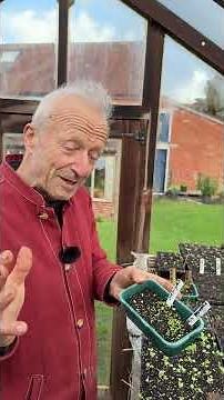 What to Sow in March | Hardy Vegetable Seeds to Start Now