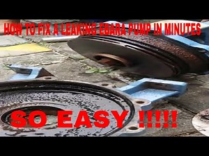 How to Fix a Leaking Ebara Pump in Minutes