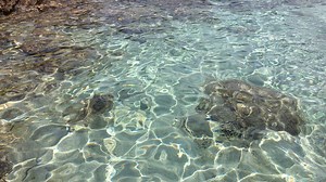 Qui siamo all'Asinara, cala dei Ponzesi. Buongiorno :-) | Sardegna