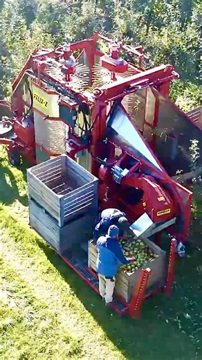 I Tried the Massive Brush Machine for 30 Days in My Orchard Here's What Happened