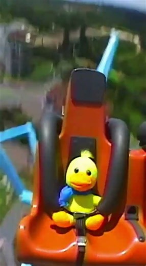 90s Flashback: Duck on a Roller Coaster! 📺🦆🎢