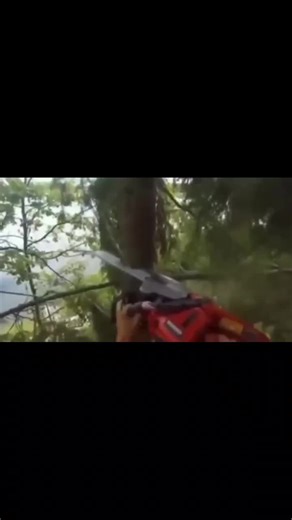 #foryoupage #viral #fyp