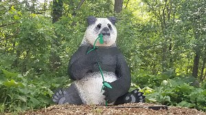 Grand Rapids John Ball Zoo to host unique, animal sculpture exhibit
