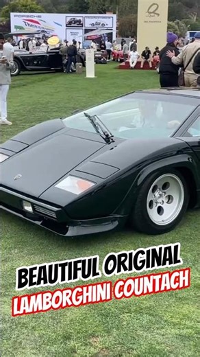 💚💚💚💚💚💚