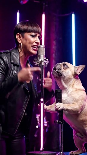 Gril and Dog 🐕 song this #short# is