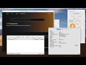 Verify Transactions Using Bitcoin Full Node