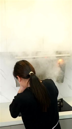 Robam老板油烟机E2P/E2套装评测，开箱实测吸力到底好不好用？推荐入手吗？