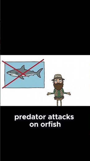 Why The Oarfish Deletes Its Own Body