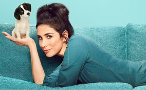 'Stupid Pet Tricks' Is Back! David Letterman's Silly Segment Is Now a Series