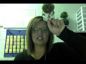 Fundations kindergarten unit 1 week 2 day 1