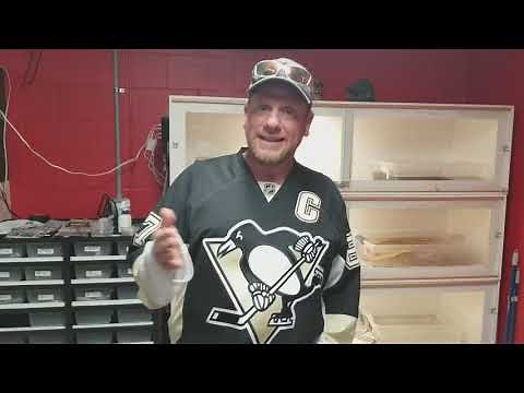 How Often Should I Handle My Reticulated Python?