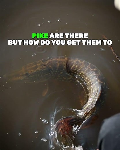 Cracking the Code🔓