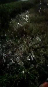 HABITANTES DE BONANZA Y LAS FLORES HACEN LLAMADO A LA ALCALDÍA Debido a las recientes lluvias que se han venido presentando y, al parecer, a la falta de mantenimiento de los canales de aguas residuales, estos se están desbordando causando inundaciones en la zona de #Bonanza y #LasFlores en #Jamundí. Los residentes del sector piden soluciones ante esta problemática que los aqueja. #PapelPeriodicoJamundí #Noticias | Papel Periódico Jamundí