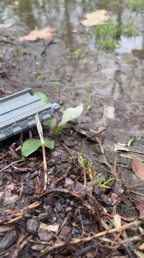 Poor edrawd #water #crash #thomas