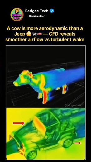 A Cow Is More Aerodynamic Than a Jeep 😳🐄🚗 #shorts #aerodynamics #science #cars #viral