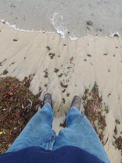 #fyp #virus #blowthisup #computer #mom | i had a computer virus original