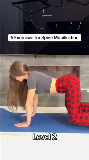 5 Best Spine Mobilisation Exercises for Better Flexibility & Back Health! 🔥
