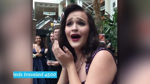 Foreign Exchange Student Travels 4500 Miles To Surprise Girl At Prom