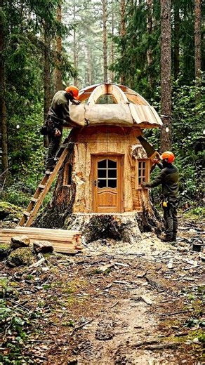 Mushroom House Build Timelapse 🍄 | Tiny Fantasy Home in Nature