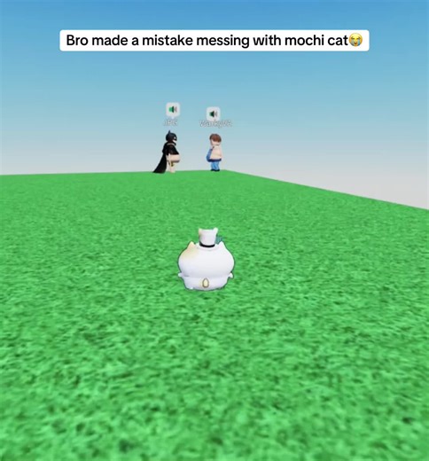 Watch till end☠️ #roblox #micup #trolling #mochi #viral_video | mochi