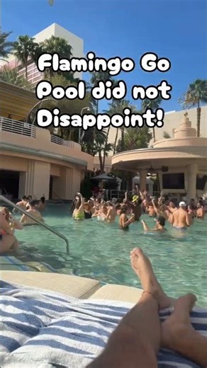 Have you been to the newly renovated Flamingo go pool? #lasvegas #vegaspools #flamingovegas